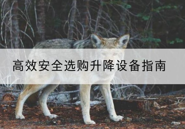 文峰升降货梯厂家推荐-*安全选购升降设备指南