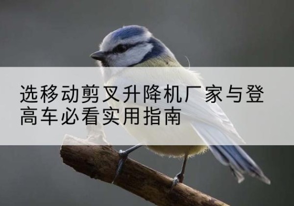 文峰电动升降机厂家-选移动剪叉升降机厂家与登高车必看实用指南