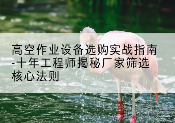 文峰剪叉式升降机厂家-高空作业设备选购实战指南-十年工程师揭秘厂家筛选核心法则